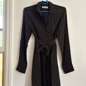 Everlane Polka Dot Shirt Dress